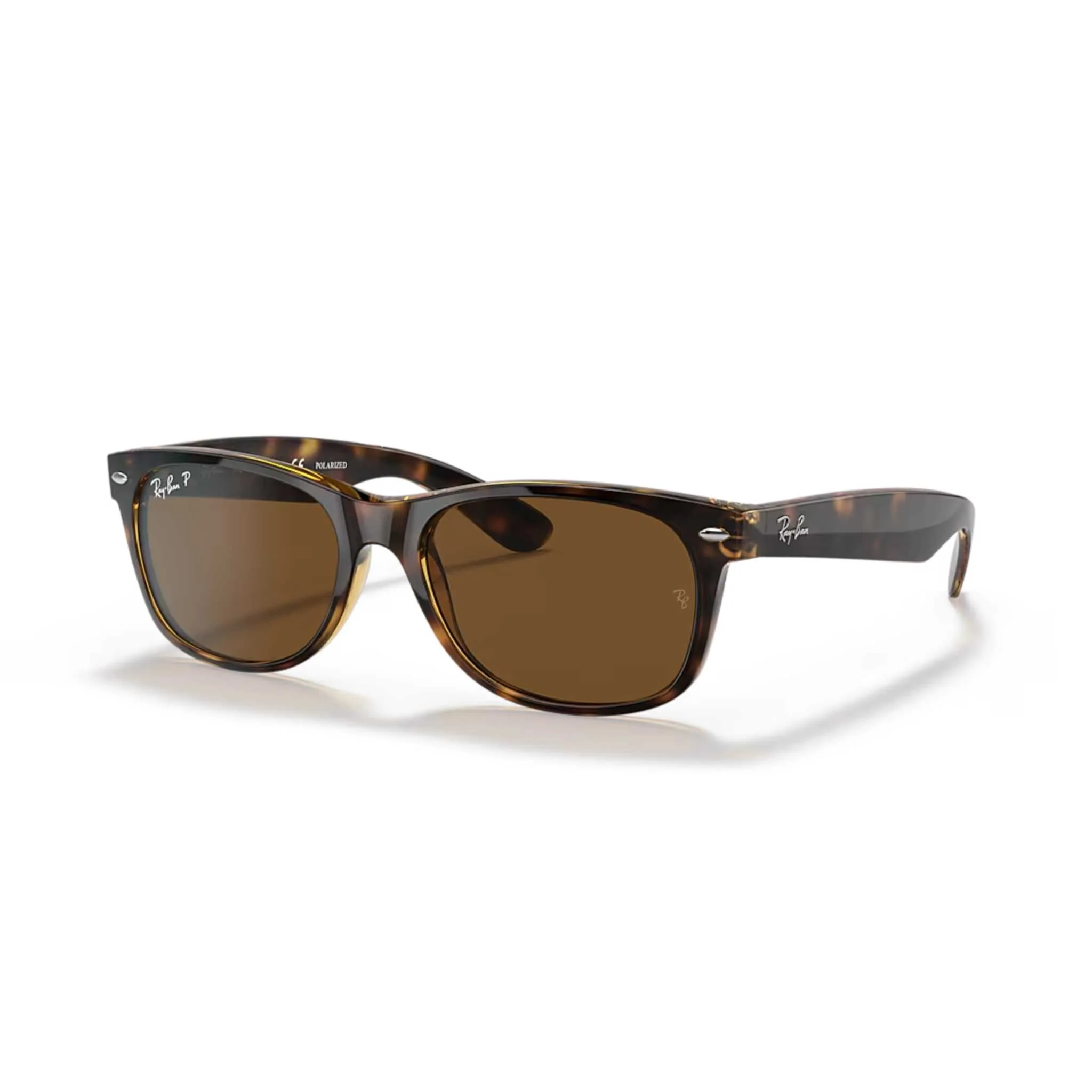 Tortoise Polarized