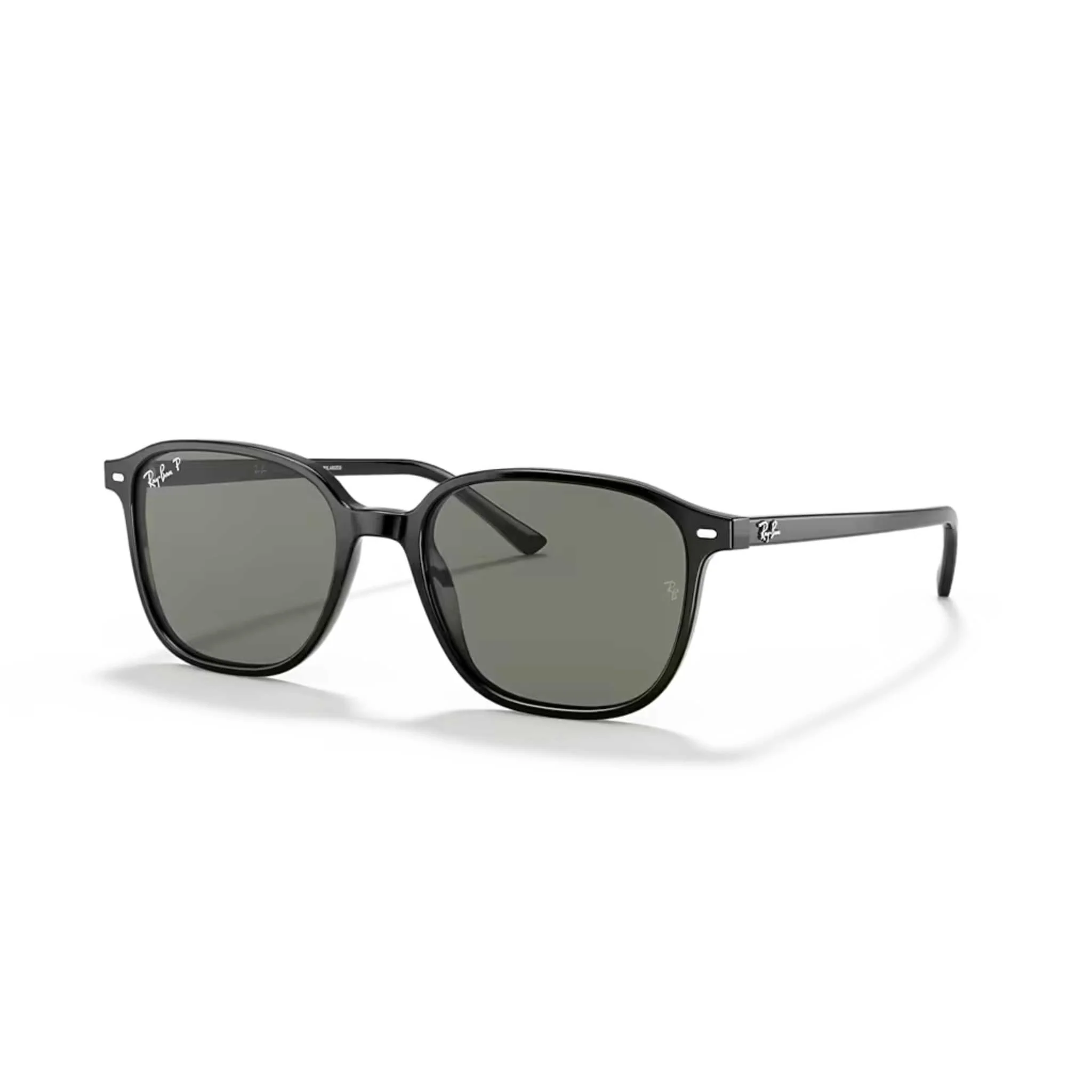 BLACK POLARIZED