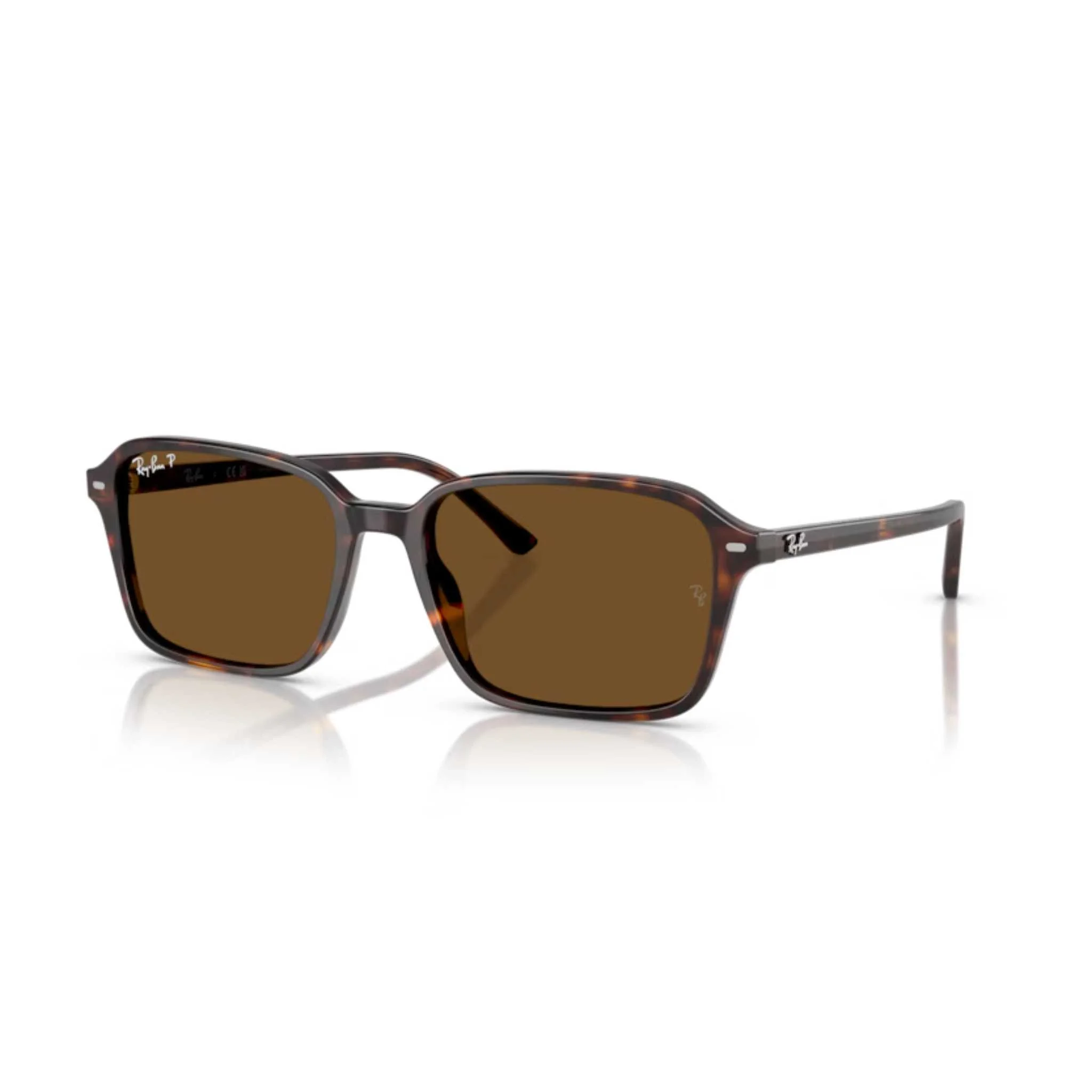 HAVANA POLARIZED